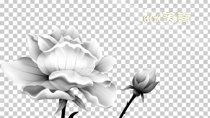 Paper Sticker PNG, Clipart, Background Vector, Black, Business Card, Computer Wallpaper, Flower Free PNG Download