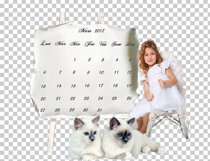 Whiskers Kitten 0 PNG, Clipart, 2017, Animals, Animated Film, Blog, Calendar Free PNG Download