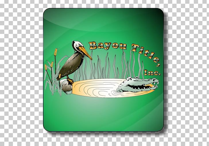 Duck Seabird Beak PNG, Clipart, Animals, App, Bayou, Beak, Bird Free PNG Download