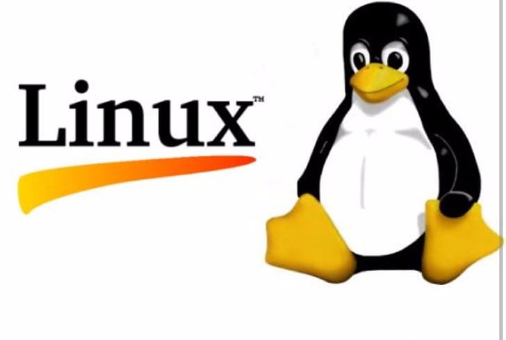 Linux From Scratch Training LXC Operating Systems PNG, Clipart, Bird, Brand, Centos, Computer Software, Fedora Free PNG Download