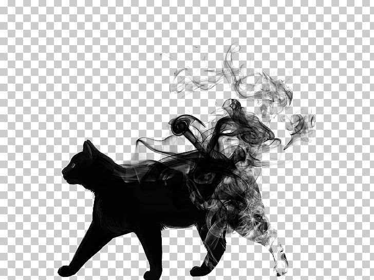 PicsArt Photo Studio Editing Desktop PNG, Clipart, Black, Black And White, Carnivoran, Cat, Cat Like Mammal Free PNG Download