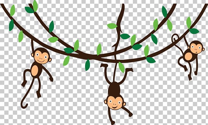 Spider Monkey Photography PNG, Clipart, Artwork, Blog, Branch, Clip Art,  Computer Icons Free PNG Download