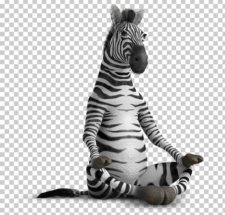 Why Zebras Don't Get Ulcers Ballpoint Pen Gel Pen PNG, Clipart, Animals, Ballpoint Pen, Gel Pen, Horse Like Mammal, Ink Free PNG Download