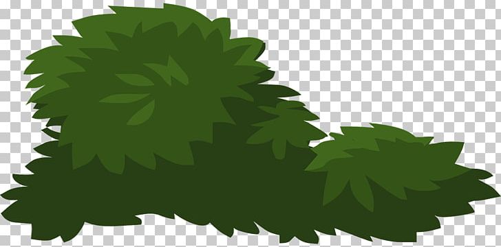 Leaf Vegetable Leaf Grass PNG, Clipart, Bushes, Clip Art, Download, Flower, Grape Leaves Free PNG Download