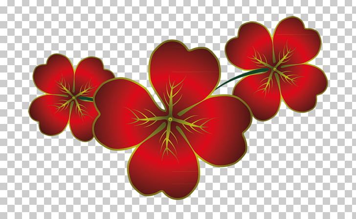 Copyright PNG, Clipart, Cartoon, Copyright, Download, Flower, Flowering Plant Free PNG Download