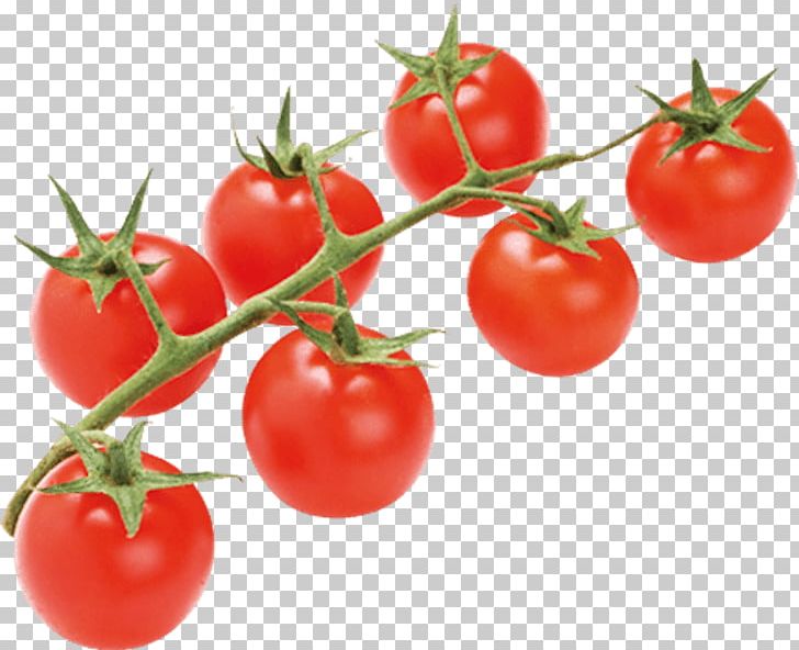 Plum Tomato Bush Tomato Vegetable Food PNG, Clipart, Australian Desert Raisin, Blanching, Bush Tomato, Chayote, Cherry Free PNG Download