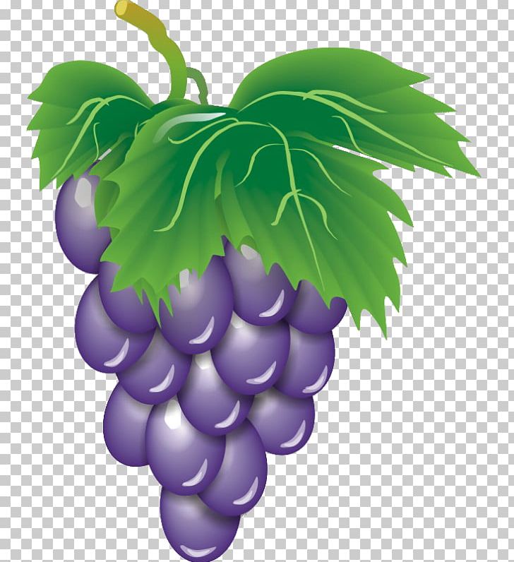 Wine Common Grape Vine Fruit PNG, Clipart, Black Grapes, Cartoon, Computer Wallpaper, Creativ, Dragon Ball Z Free PNG Download