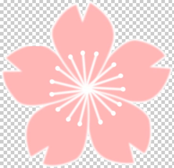 Cherry Blossom PNG, Clipart, Blossom, Cherry, Cherry Blossom, Computer Wallpaper, Desktop Wallpaper Free PNG Download