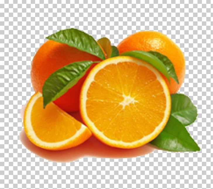 Clementine Tangerine Mandarin Orange Blood Orange Valencia Orange PNG, Clipart, Bitter Orange, Blood Orange, Chenpi, Citric Acid, Citrus Free PNG Download