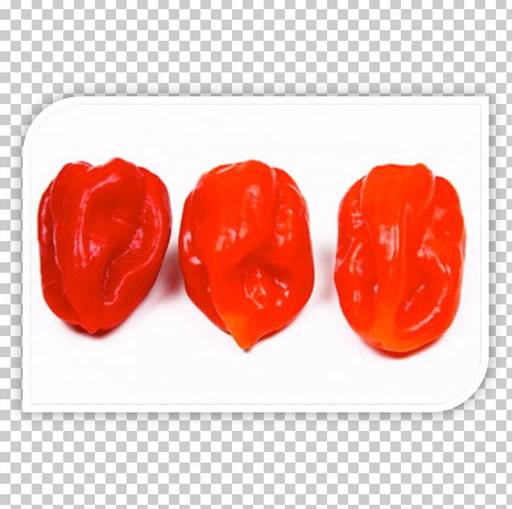 Stuffed Peppers Chili Pepper Bell Pepper Paprika Espelette Pepper PNG, Clipart, Allspice, Bell Pepper, Bell Peppers And Chili Peppers, Capsicum Annuum, Chili Pepper Free PNG Download