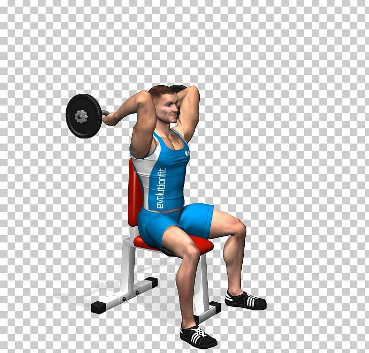 Weight Training Dip Dumbbell Lying Triceps Extensions Barbell PNG, Clipart, Abdomen, Arm, Balance, Barbell, Boxing Glove Free PNG Download