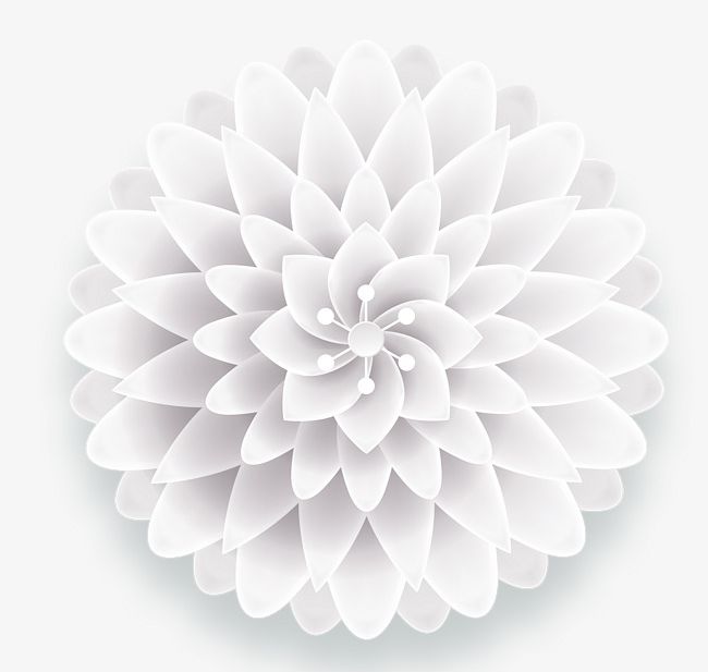 White Simple Three-dimensional Flowers Decorative Patterns PNG, Clipart, Decorative, Decorative Clipart, Decorative Pattern, Flowers, Flowers Clipart Free PNG Download