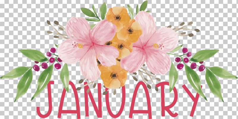 Floral Design PNG, Clipart, Calendar, Design Flower, Drawing, Floral Design, Flower Free PNG Download