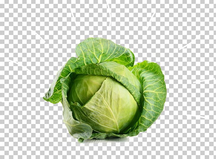 Cabbage Vegetable Broccoli Beetroot PNG, Clipart, Beetroot, Bru, Cabbage, Cabbages, Collard Greens Free PNG Download