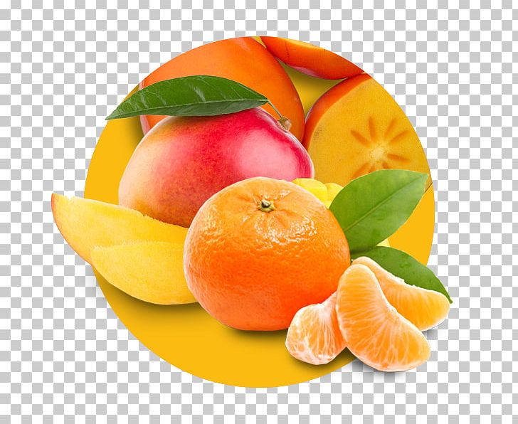 Clementine Mandarin Orange Tangerine Peel Blood Orange PNG, Clipart, Antioxidant, Blood Orange, Citric Acid, Citrus, Clementine Free PNG Download