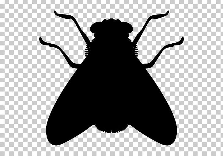 Insect Fly Icon PNG, Clipart, Animal, Animals, Black, Black And White, Black Silhouette Free PNG Download