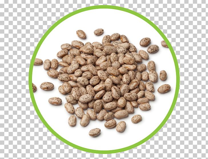 Pinto Bean Jamaican Blue Mountain Coffee Food Stock Photography PNG, Clipart, Adzuki Bean, Bean, Beans, Cocoa Bean, Commodity Free PNG Download