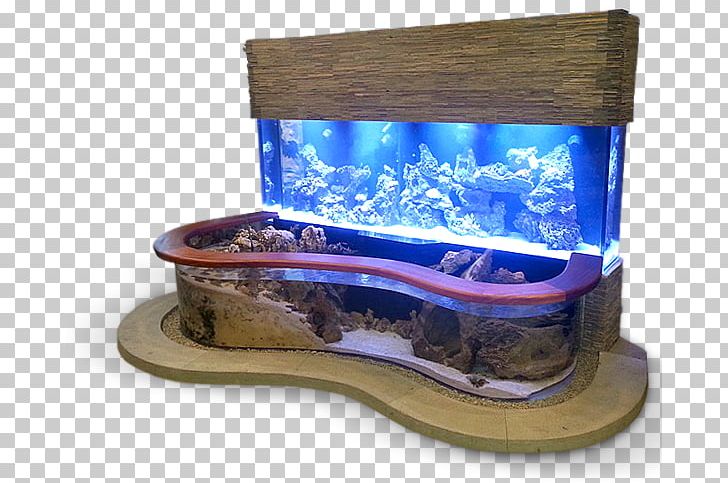 Siamese Fighting Fish ZeroEdge Aquarium Corporation Reef Aquarium Poly PNG, Clipart, Acrylic, Animals, Aquarium, Aquariums, Aquascaping Free PNG Download