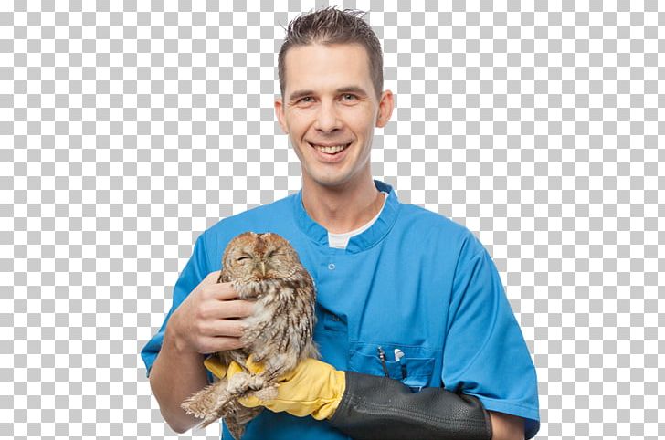 Dr. Gernot Werner-Tutschku Sattledt Veterinarian Tierisch Gut! Clinique Vétérinaire PNG, Clipart, Arm, Dentist, Finger, Hospital, Mammal Free PNG Download