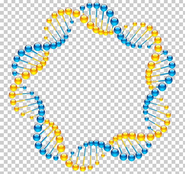 Molecular Models Of DNA Helix Molecular Structure Of Nucleic Acids: A Structure For Deoxyribose Nucleic Acid PNG, Clipart, Adna, Art, Body Jewelry, Circle, Dna Free PNG Download
