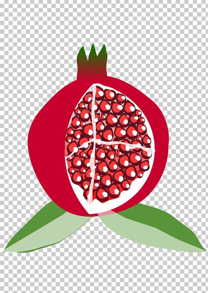 Pomegranate Fruit Mediterranean Basin PNG, Clipart, Animation, Berry, Circle, Clip Art, Computer Icons Free PNG Download
