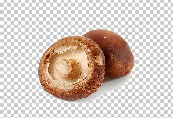 Shiitake Malatang Mushroom Lenthionine PNG, Clipart, Condiment, Edible Mushroom, Encapsulated Postscript, Food, Gratis Free PNG Download