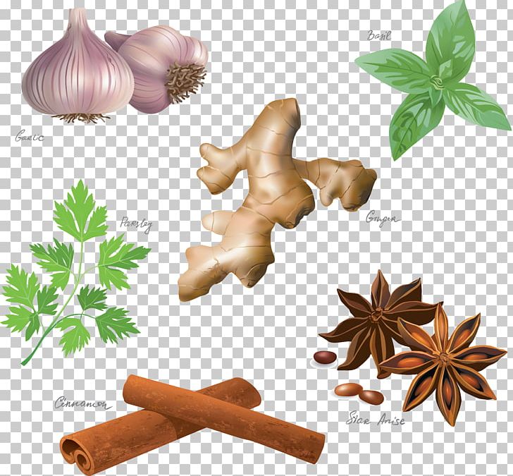 Spice Herb Star Anise Encapsulated PostScript PNG, Clipart, Anise, Bay Leaf, Cardamom, Chili Pepper, Condiment Free PNG Download