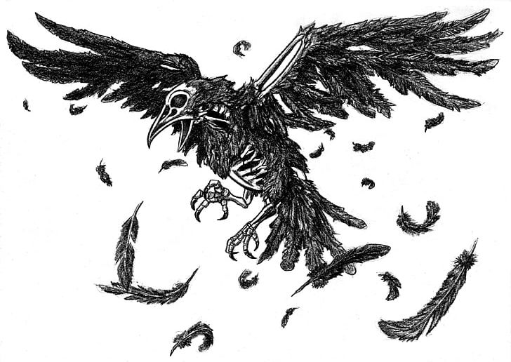 The Raven Drawing Artist PNG, Clipart, Animals, Art, Artist, Beak, Bird Free PNG Download