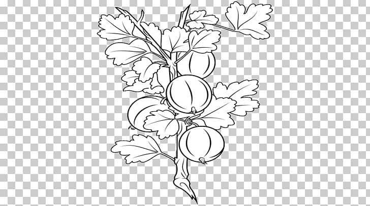 Black And White Visual Arts Drawing Floral Design PNG, Clipart, Amla, Area, Art, Artwork, Black And White Free PNG Download
