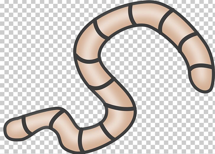 Reptile Douchegordijn Worm PNG, Clipart, Body Jewellery, Body Jewelry, Curtain, Douchegordijn, Fish Hook Free PNG Download