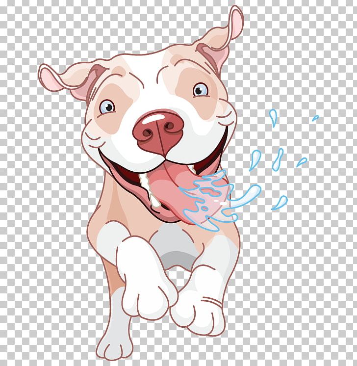 American Pit Bull Terrier Bulldog Puppy PNG, Clipart, Animals, Bull, Bull Dog, Can Stock Photo, Carnivoran Free PNG Download