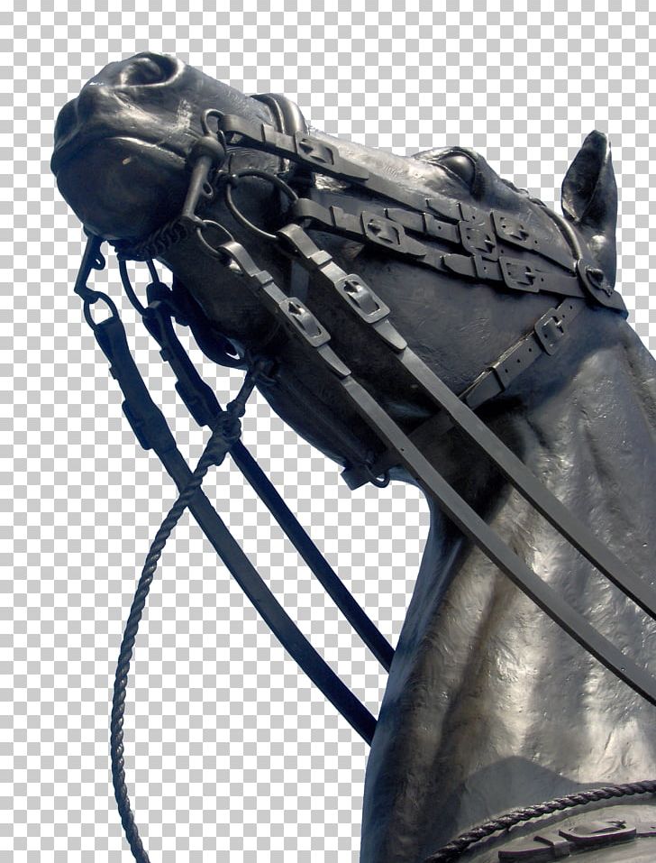 Parliament Hill Horse Ottawa Statue PNG, Clipart, Animals, Bicycle Saddle, Canada, Download, Google Images Free PNG Download