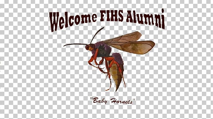Alumni Association Alumnus Fairfield Industrial High School Wasp Mail PNG, Clipart, 35064, Address, Alabama, Alumni Association, Alumnus Free PNG Download