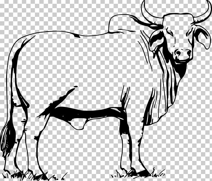 Cattle Ox Bull Drawing PNG, Clipart, Animals, Art, Artwork, Black And White, Cartoon Free PNG Download