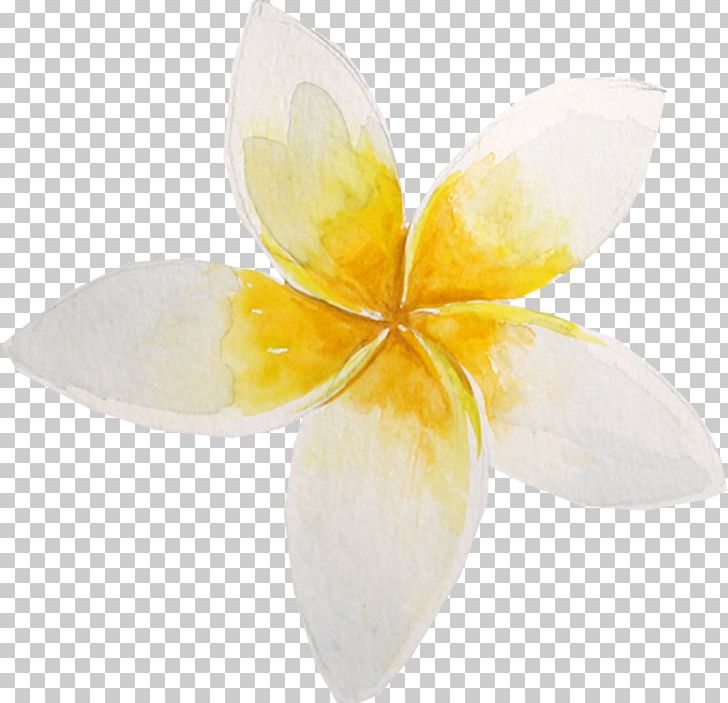 Flower Petal Stock Photography Water Lily Lilium PNG, Clipart, Color, Flower, Flowers, Flower Vector, Hand Free PNG Download