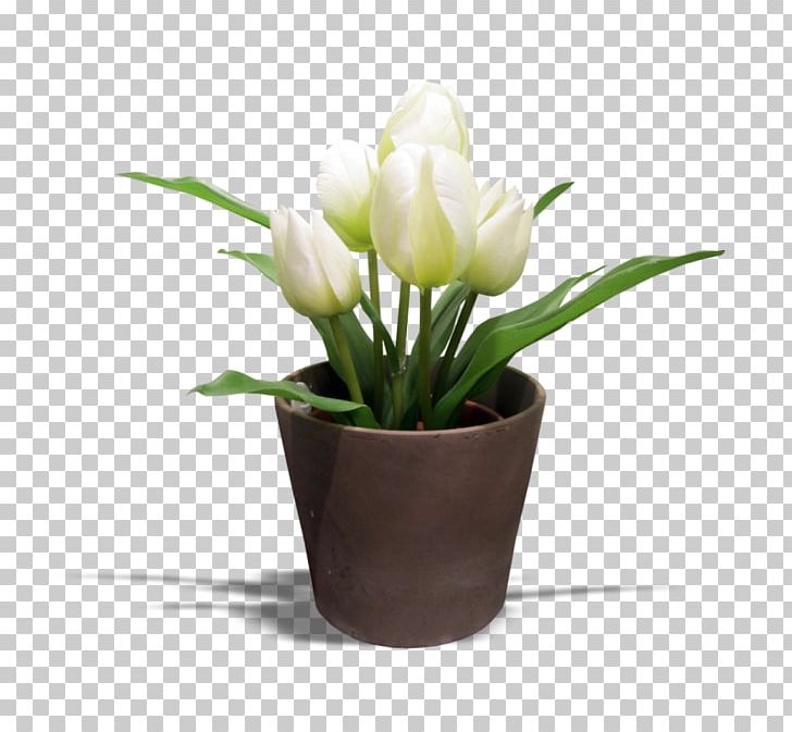 Tulip Cut Flowers Museum Of Sea Fishery Swinoujscie LiveInternet PNG, Clipart, Artificial Flower, Blog, Cut Flowers, Diary, Floral Design Free PNG Download