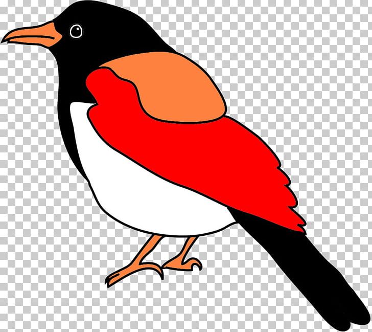 Bird Parrot Drawing PNG, Clipart, Animals, Artwork, Beak, Bird, Bird Flight Free PNG Download