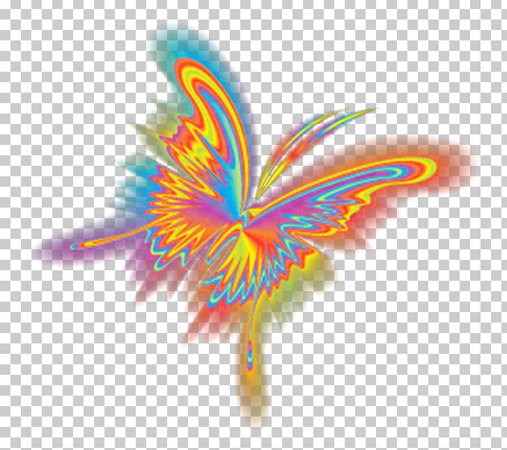 Butterfly Light Graphic Design Transparency And Translucency PNG, Clipart, Butterflies, Butterfly Group, Butterfly Wings, Colorful, Colorful Butterfly Free PNG Download
