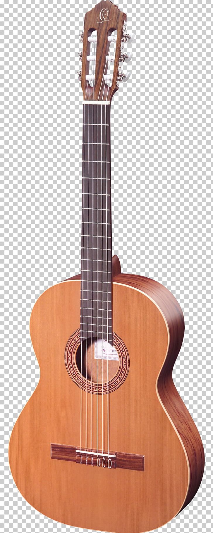 Classical Guitar Musical Instruments Acoustic Guitar Fingerboard PNG, Clipart, Acoustic Electric Guitar, Classical Guitar, Cuatro, Guitar Accessory, Musical Instruments Free PNG Download