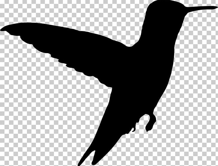 Hummingbird Silhouette PNG, Clipart, Animal, Animals, Beak, Bird, Black And White Free PNG Download