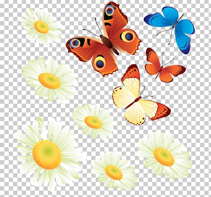 Monarch Butterfly PNG, Clipart, Animal, Brush Footed Butterfly, Butterflies And Moths, Butterfly, Computer Icons Free PNG Download
