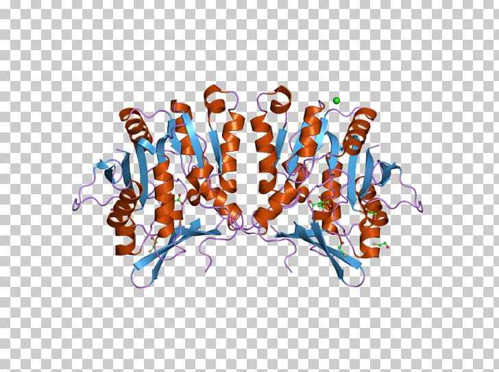 Glycine N-methyltransferase GNMT Enzyme Tamen PNG, Clipart, Arsenic, Azt, Computer, Computer Wallpaper, Desktop Wallpaper Free PNG Download