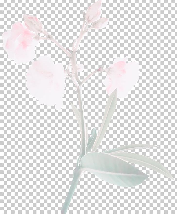 Pink Ipomoea Nil Flower PNG, Clipart,  Free PNG Download