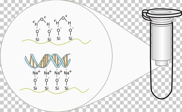 Spin Column-based Nucleic Acid Purification DNA Extraction Plasmid Preparation PNG, Clipart, Angle, Area, Auto Part, Biology, Cell Free PNG Download
