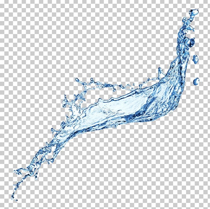 Splash Water Drop PNG, Clipart, Branch, Desktop Wallpaper, Drawing