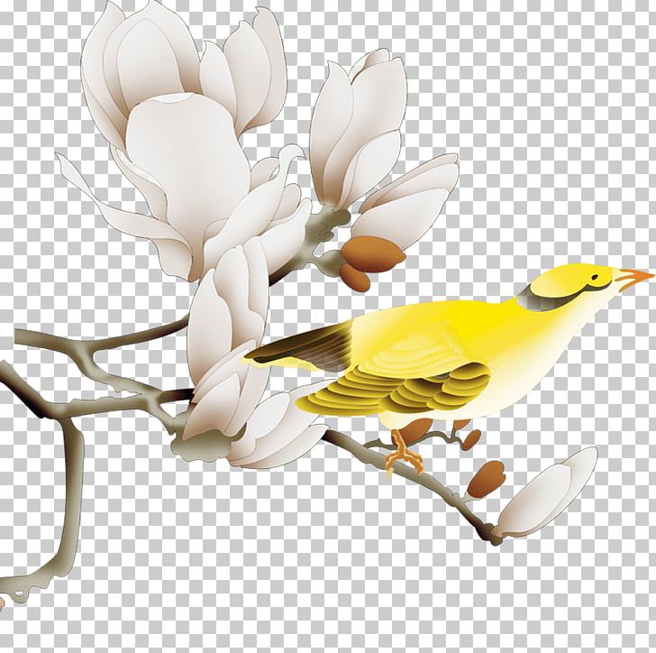 White Yellow PNG, Clipart, Animals, Bird, Birds, Birds And Flowers, Branch Free PNG Download