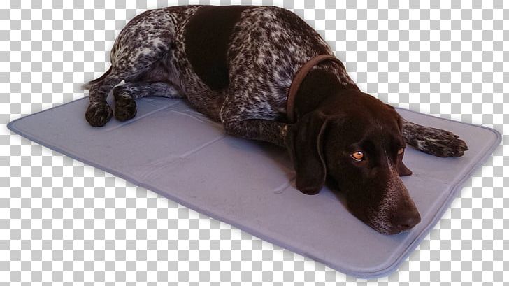 AniMat Cool Gel Mat Dark Blue Nylon Dog Breed Bed PNG, Clipart, Bag, Bed, Bedding, Clothing, Cushion Free PNG Download