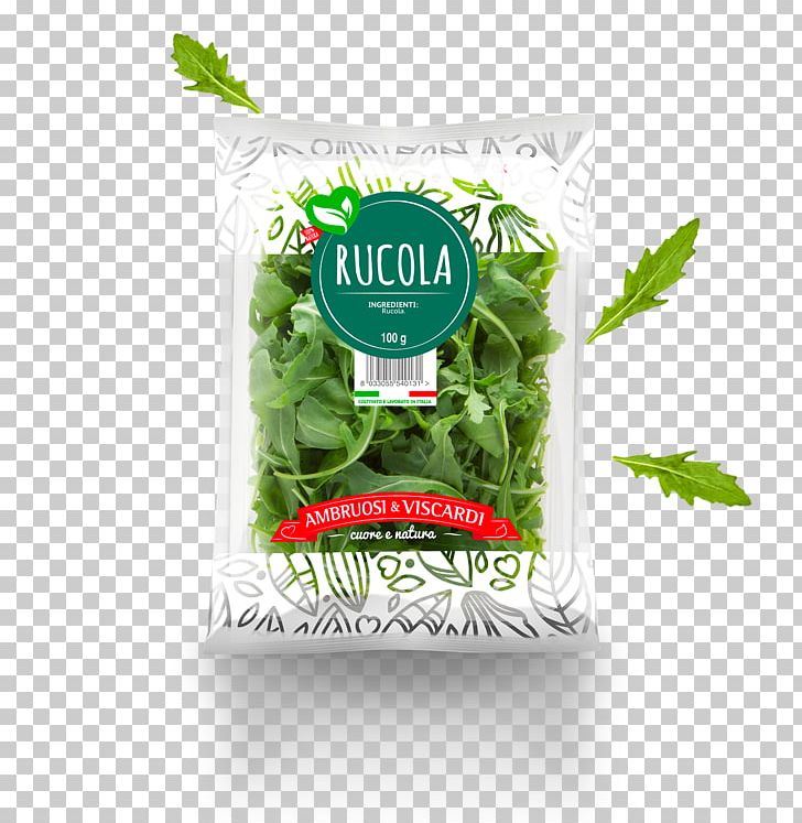 Leaf Vegetable Arugula Herb Salad PNG, Clipart, Arugula, Cuisine, Food Drinks, Herb, Herbal Free PNG Download