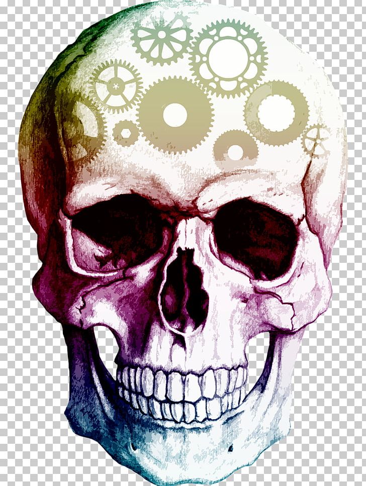 Skull Human Skeleton PNG, Clipart, Bone, Clip Art, Drawing, Fantasy, Head Free PNG Download