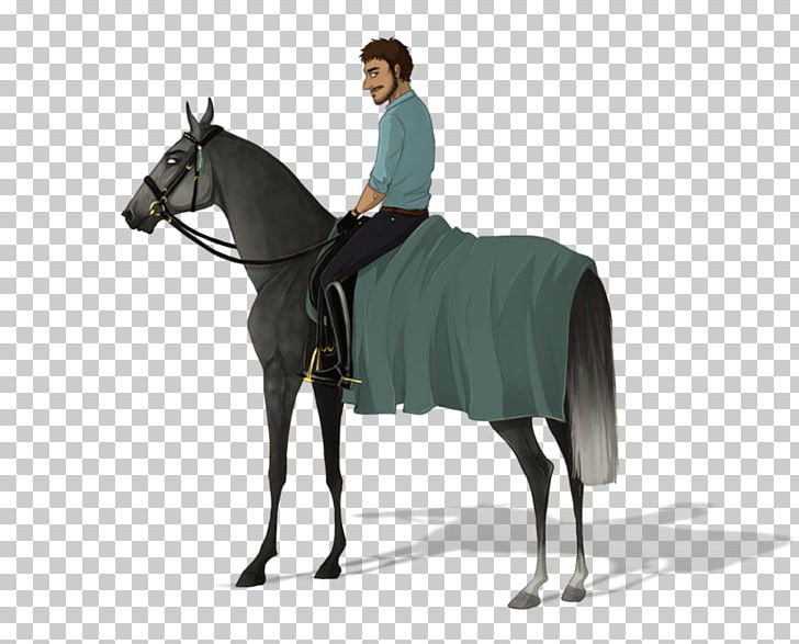 Stallion Rein Hunt Seat Mustang Mare PNG, Clipart, Bit, Bridle, Equestrian, Equestrianism, Equestrian Sport Free PNG Download